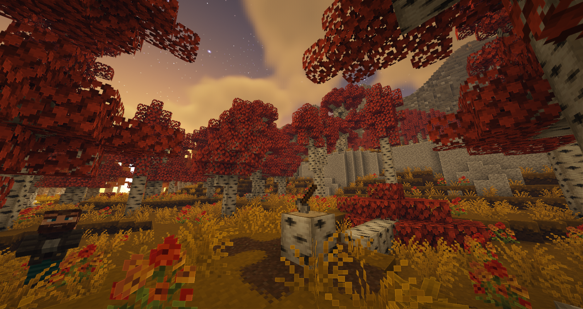 Image 1920x1080_edited.jpg