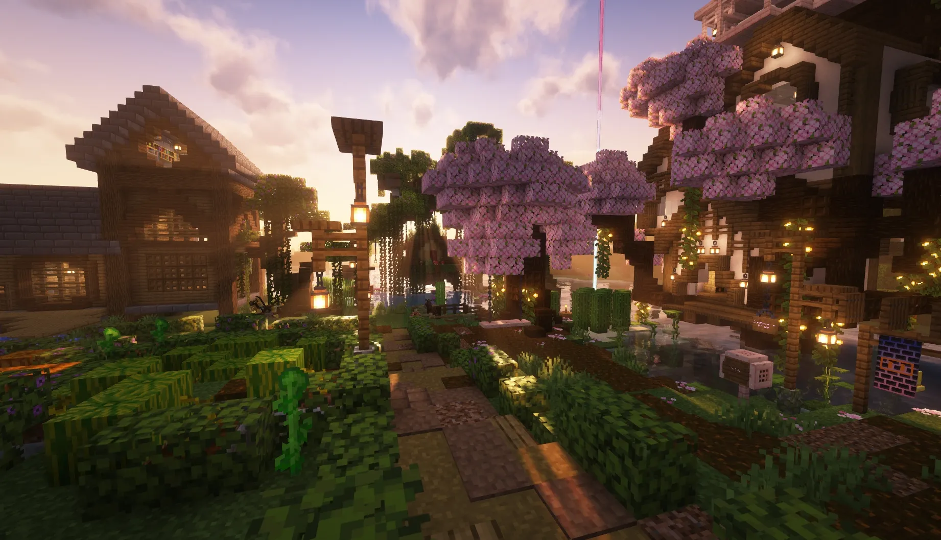 Image 1920x1080_edited.jpg